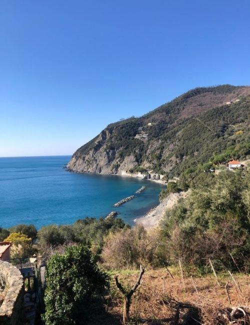 Eden Hotel Deiva Marina Luaran gambar
